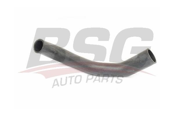 BSG 30-720-255 Radiator hose 30720255