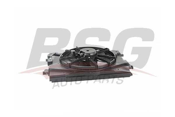 BSG 75-510-001 Hub, engine cooling fan wheel 75510001