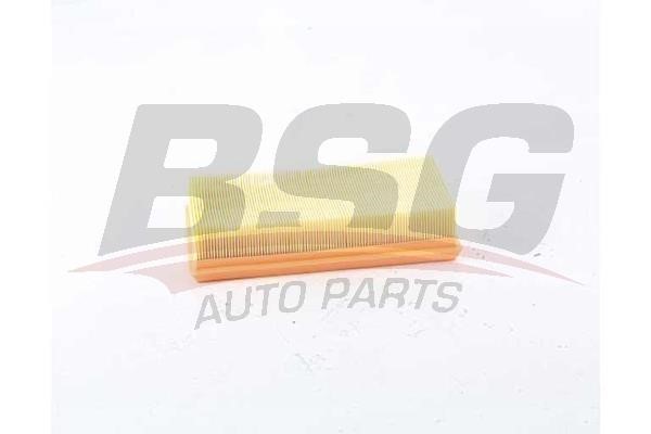 BSG 75-135-010 Air filter 75135010