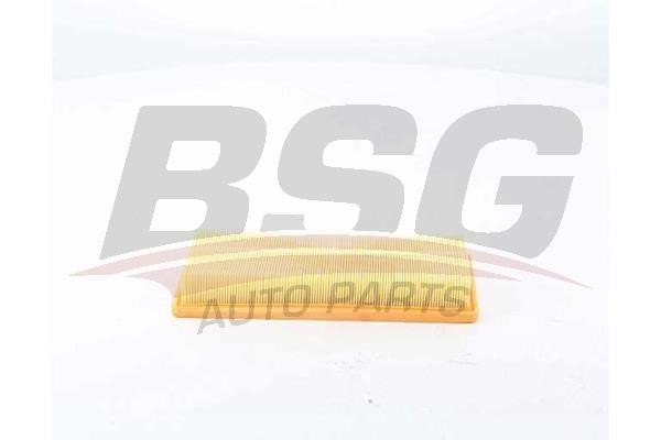BSG 15-135-022 Air filter 15135022