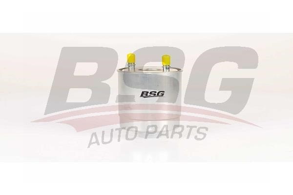 BSG 75-130-003 Fuel filter 75130003