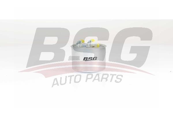 BSG 60-130-012 Fuel filter 60130012