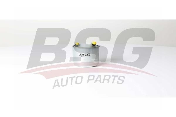 BSG 60-130-011 Fuel filter 60130011