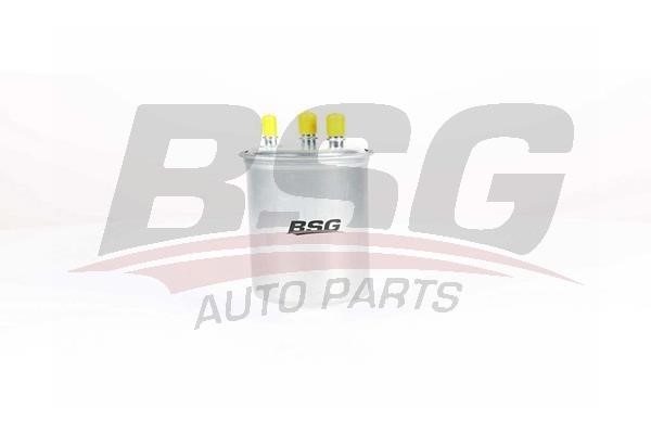 BSG 75-130-002 Fuel filter 75130002
