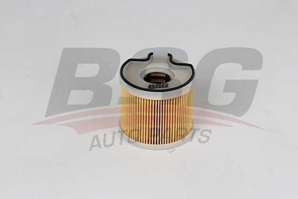 BSG 70-130-007 Fuel filter 70130007
