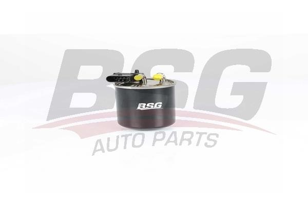 BSG 60-130-020 Fuel filter 60130020