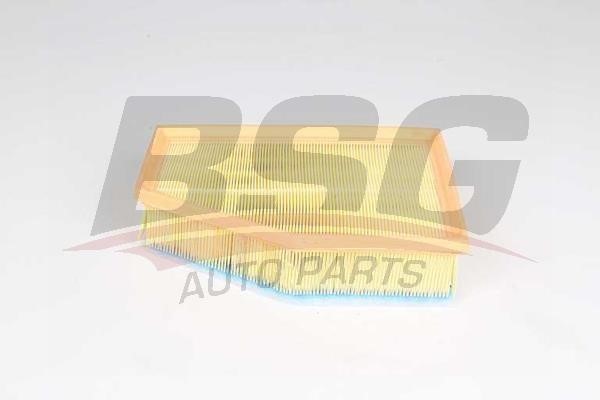 BSG 15-135-026 Air filter 15135026