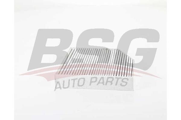 BSG 60-145-020 Filter, interior air 60145020
