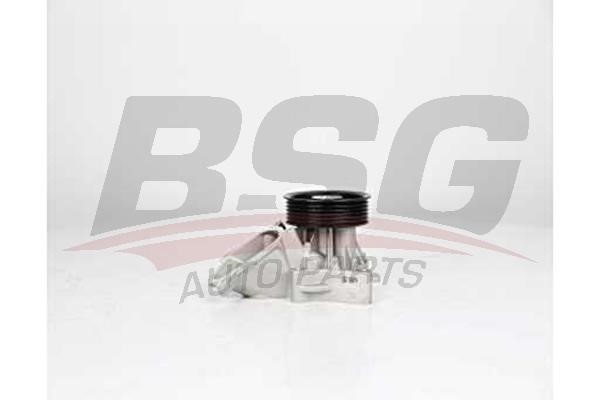 BSG 15-500-014 Water pump 15500014