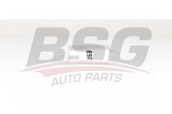 BSG 60-130-009 Fuel filter 60130009