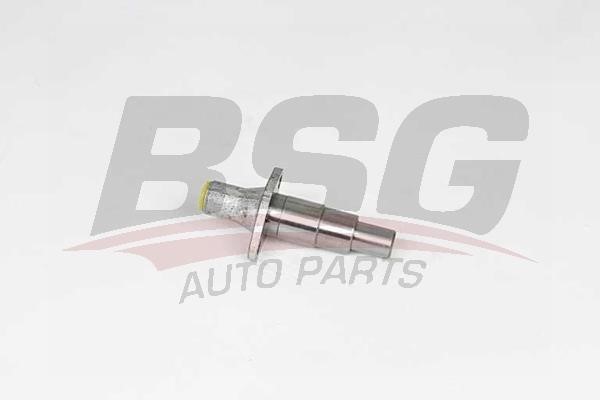 BSG 60-109-019 Timing Chain Tensioner 60109019
