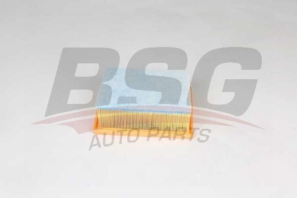 BSG 25-135-019 Air filter 25135019