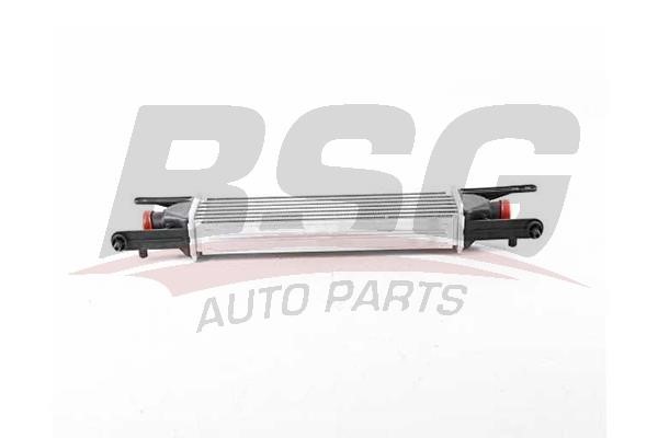 BSG 25-535-008 Intercooler, charger 25535008