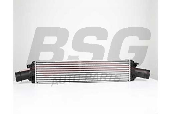 BSG 90-535-013 Intercooler, charger 90535013