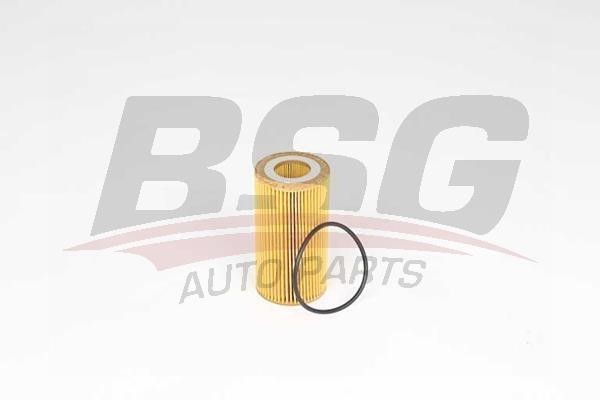 BSG 15-140-001 Oil Filter 15140001
