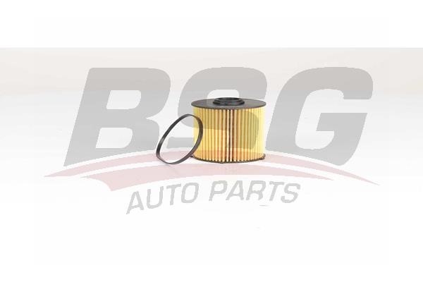 BSG 60-130-022 Fuel filter 60130022