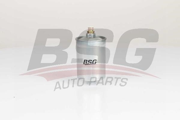 BSG 60-130-010 Fuel filter 60130010