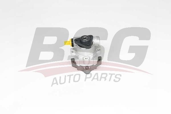 BSG 15-355-019 Hydraulic Pump, steering system 15355019