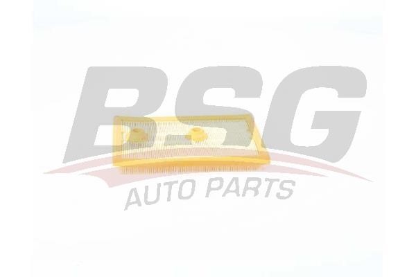 BSG 90-135-026 Air filter 90135026