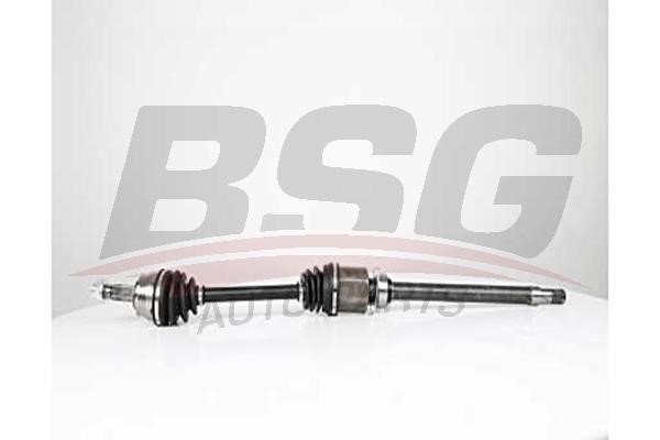 BSG 25-350-001 Drive shaft 25350001