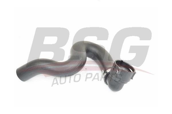 BSG 65-720-200 Radiator hose 65720200