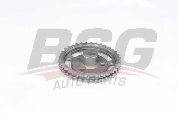 BSG 60-109-003 Timing chain kit 60109003