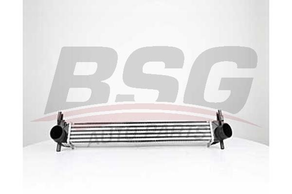 BSG 90-535-015 Intercooler, charger 90535015