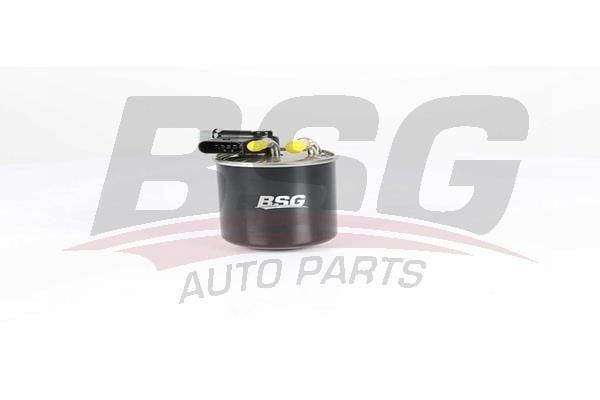 BSG 60-130-019 Fuel filter 60130019
