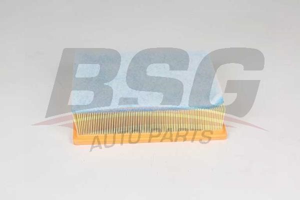 BSG 75-135-024 Air filter 75135024