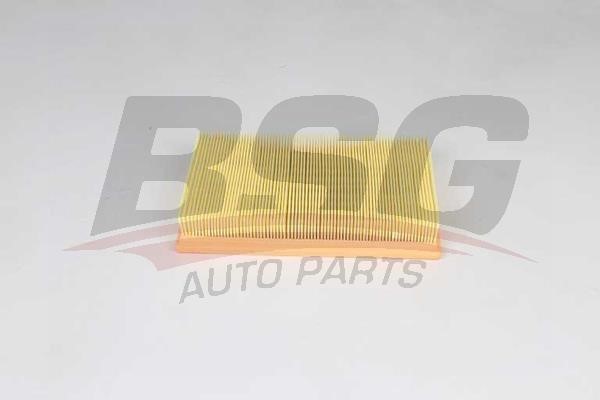 BSG 30-135-037 Air filter 30135037