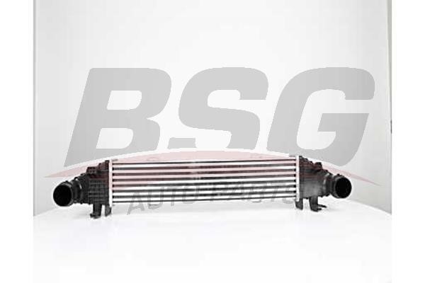 BSG 60-535-004 Intercooler, charger 60535004