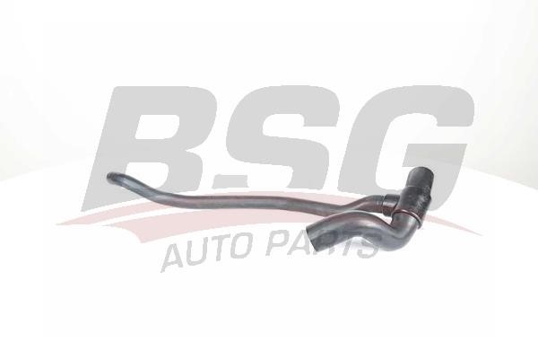 BSG 65-720-207 Radiator hose 65720207