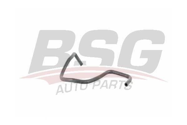 BSG 30-720-264 Radiator hose 30720264