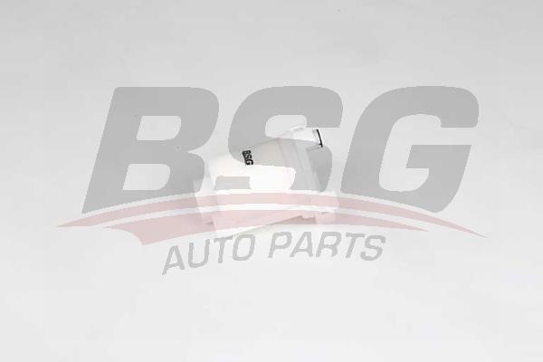 BSG 40-130-023 Fuel filter 40130023