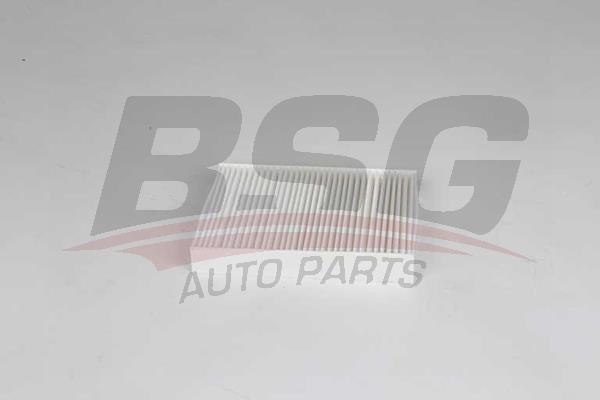 BSG 70-145-024 Filter, interior air 70145024