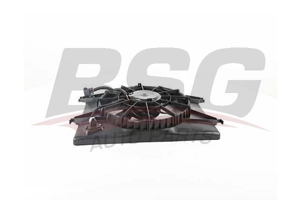 BSG 40-510-021 Hub, engine cooling fan wheel 40510021