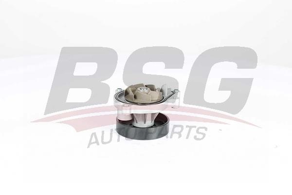 BSG 15-500-022 Water pump 15500022