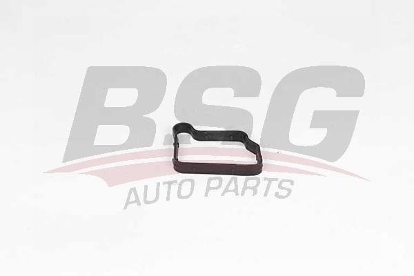 BSG 60-109-010 Gasket, cylinder head cover 60109010