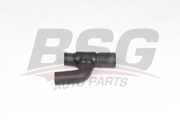 BSG 65-700-368 Radiator hose 65700368