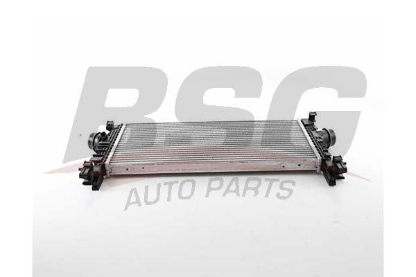 BSG 65-535-015 Intercooler, charger 65535015