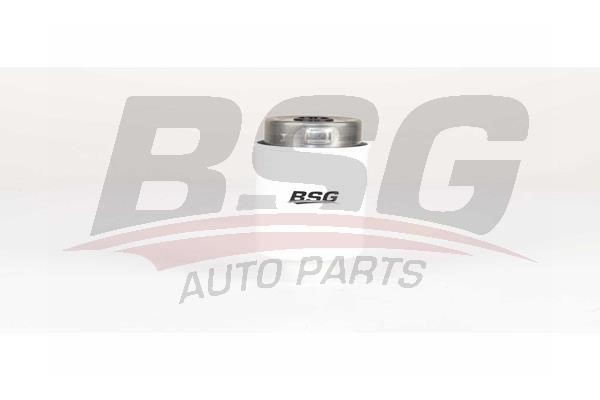 BSG 15-130-009 Fuel filter 15130009