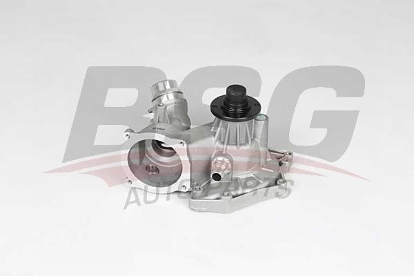 BSG 15-500-011 Water pump 15500011