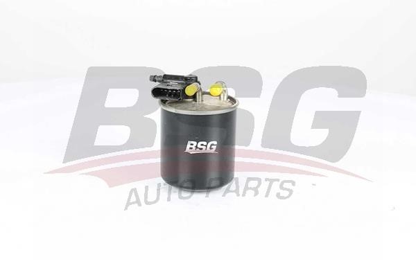 BSG 60-130-017 Fuel filter 60130017