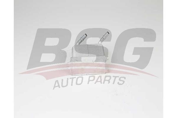 BSG 15-506-030 Oil Cooler, engine oil 15506030