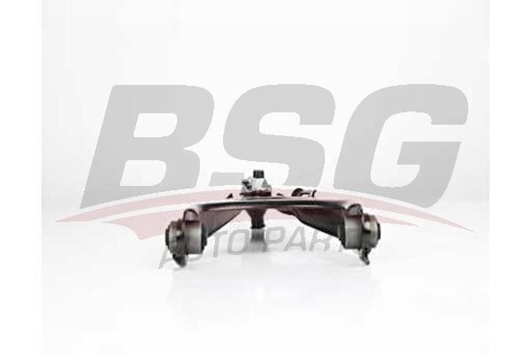 BSG 75-315-011 Track Control Arm 75315011