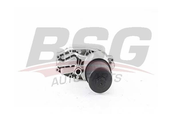 BSG 15-507-003 Oil Cooler, engine oil 15507003