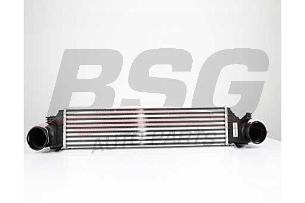 BSG 60-535-012 Intercooler, charger 60535012