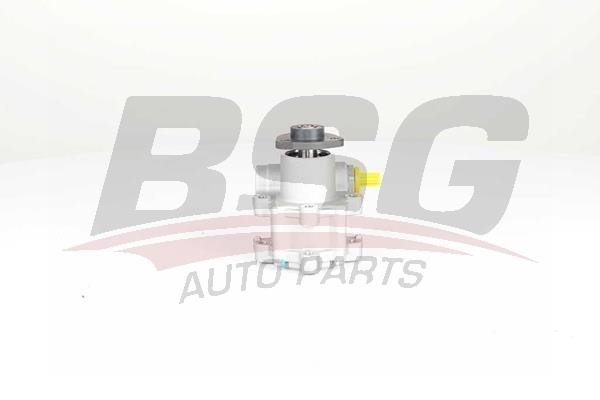 BSG 15-355-017 Hydraulic Pump, steering system 15355017
