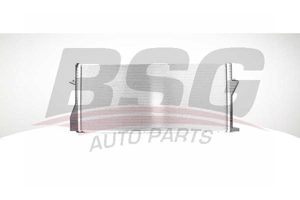 BSG 15-520-018 Radiator, engine cooling 15520018