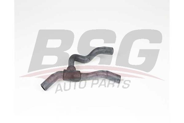 BSG 65-700-588 Radiator hose 65700588